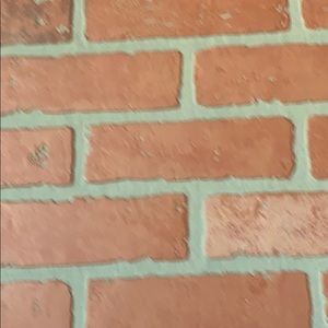 Meet your Posher, Rylie